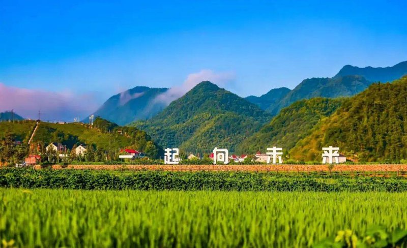 现代农业的绿洲:蔬菜种植基地的蓬勃发展