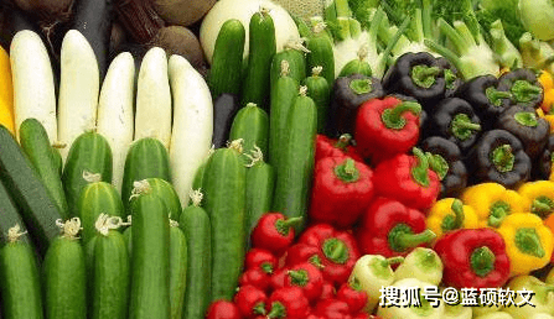 绿意盎然:探寻有机蔬菜的无限魅力